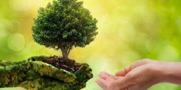 طرح های فناورانه به کمک حفاظت از محیط زیست می ایند