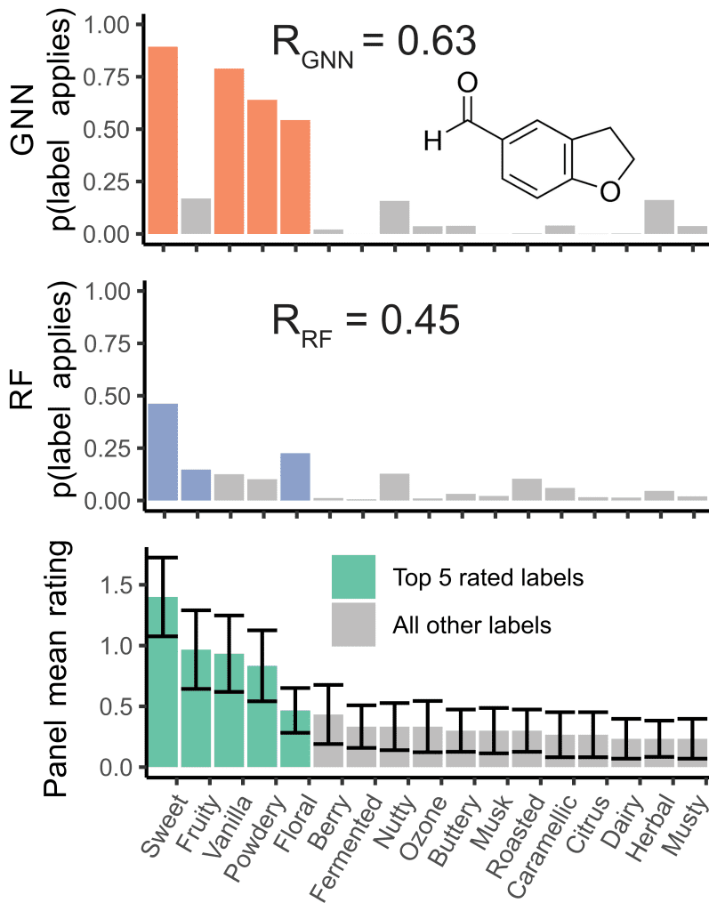 پیش‌بینی‌های انجام شده توسط دو مدل، مدل برچسب کاراکتر بو GNN هوش مصنوعی گوگل (نارنجی) و یک مدل بوی جنگل تصادفی شیمی‌انفورماتیک (RF) (آبی)، در مقایسه با میانگین رتبه‌بندی‌های ارائه‌شده توسط پانل‌های آموزش دیده (سبز) برای مولکول 2،3-دی هیدروبنزوفوران-5-کربوکسالدئید . هر نوار مربوط به یک برچسب کاراکتر بو است (برای وضوح فقط 17 مورد از 55 مورد بالا نشان داده شده است). پنج مورد برتر با رنگ مشخص شده اند. مدل وش مصنوعی گوگل به درستی چهار مورد از پنج مورد برتر را با اطمینان بالا، در مقابل تنها سه مورد از پنج، با اطمینان کم، برای مدل RF شناسایی می‌کند. همبستگی (R) با مجموعه کامل 55 برچسب کاراکتر بو نیز در مدل هوش مصنوعی گوگل بالاتر است. نقشه بو