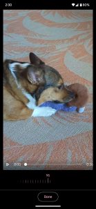 طبق تجزیه و تحلیل برخی منابع خبری Google Photos در حال توسعه ابزار بهبود وضوح فیلم ها با معرفی برنامه Video Unblur در پیکسل 8 آینده است.