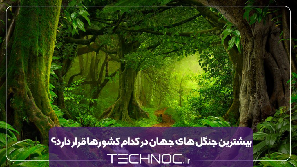 کدام کشورها بیشترین جنگل های جهان را دارند؟ +ویدئو