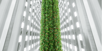 راه‌اندازی اولین مزرعه عمودی توت‌فرنگی جهان در آمریکا