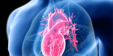 اختلال در ریتم قلب با مواد شیمیایی رایج موجود در شامپو و پلاستیک