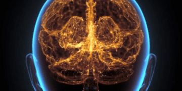 سلول‌های مغز چگونه جریان زمان را رمزگذاری می کنند؟