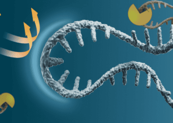 مبارزه با سرطان و پیری با کشف روشی جدید برای حفظ mRNA
