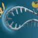 مبارزه با سرطان و پیری با کشف روشی جدید برای حفظ mRNA