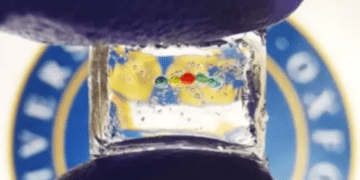 کوچک‌ترین باتری زیستی لیتیومی جهان معرفی شد