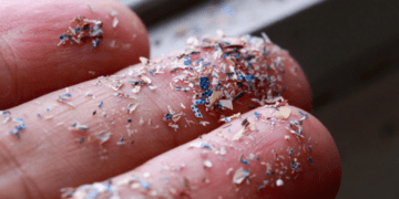 کشف میکروپلاستیک در اندام های نوزاد تازه متولد شده!