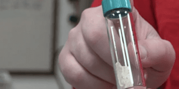 ابداع یک بیوپلاستیک جدید با سرعت تجزیه بسیار بالا