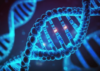 ذخیره موفقیتآمیز داده های MRI مغز در DNA