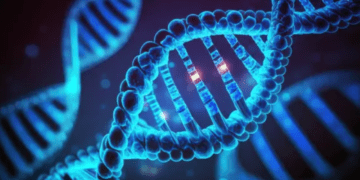 ذخیره موفقیت‌آمیز داده‌ های MRI مغز در DNA