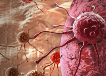 طراحی واکسنهای شخصیسازی شده سرطان با روشی جدید