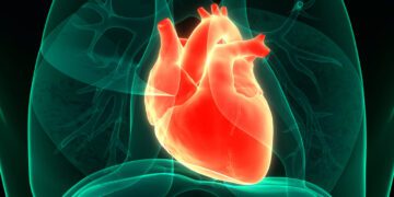 تأثیر شگرف داروهای ضد چاقی تزریقی بر سلامت قلب