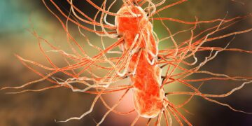 دارویی امیدوارکننده برای مقابله با عفونت های مقاوم به آنتی‌بیوتیک کشف شد