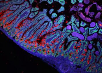 پیشنویس اولیه پروژه اطلس سلولی انسانی منتشر شد