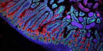 پیش‌نویس اولیه پروژه اطلس سلولی انسانی منتشر شد