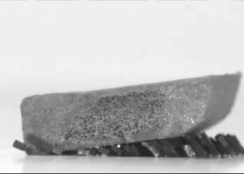 ابداع رباتهای میکروسکوپی برای انجام کارهای گروهی