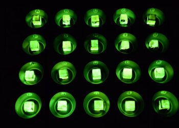 ساخت چوبی که در تاریکی میدرخشد!