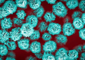 تحول در تحویل هدفمند داروها با میکروذرات گل‌مانند