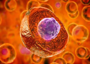 روش جدید هدایت سلولهای بنیادی و درمان دیابت و پارکینسون