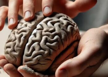 ابداع روشی جدید برای القای یادگیری با دستکاری مغز