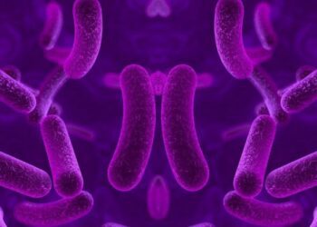 باکتری آینه‌ای چیست؟