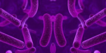 باکتری آینه‌ای چیست؟