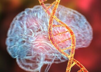 کشف ۲۹۳ تغییر ژنتیکی جدید مرتبط با افسردگی