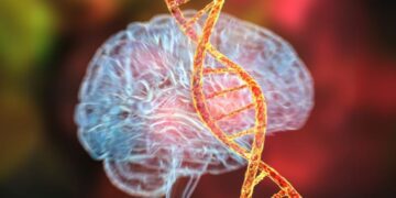 کشف ۲۹۳ تغییر ژنتیکی جدید مرتبط با افسردگی