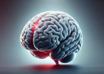 برخی سلول‌های مغزی به پیری حساس‌تر هستند