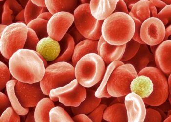 شناسایی یک گروه خونی جدید پس از یک راز 50 ساله