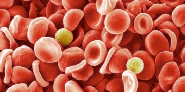 شناسایی یک گروه خونی جدید پس از یک راز 50 ساله