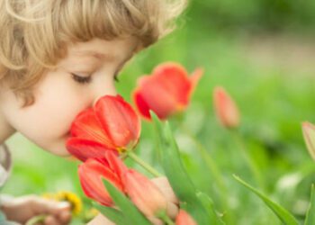 پنج حقیقت شگفت‌انگیز درباره حس بویایی