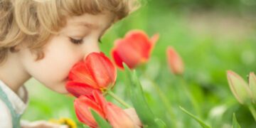 پنج حقیقت شگفت‌انگیز درباره حس بویایی