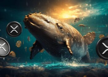 ۲۰ کیف پول برتر ریپل بیش از ۵۰ درصد عرضه را کنترل می‌کنند