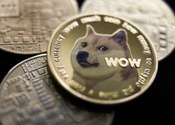 نهنگ‌ها در حال انباشت دوج کوین (DOGE) هستند