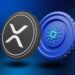 مقایسه ریپل (XRP) و کاردانو (ADA)؛ کدام‌یک می‌تواند بیشترین رشد قیمتی را رقم بزند؟