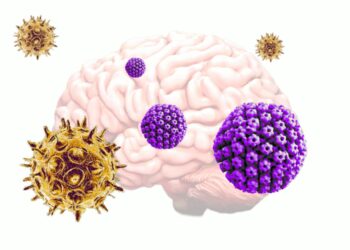 نقش دو ویروس رایج در شروع بیماری آلزایمر