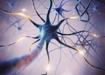 کشف نورون‌های مخصوص کنترل اشتها در مغز موش‌ها