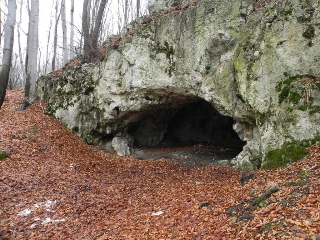 کشف آثار آدم‌خواری در بقایای ۱۸,۰۰۰ ساله در لهستان 