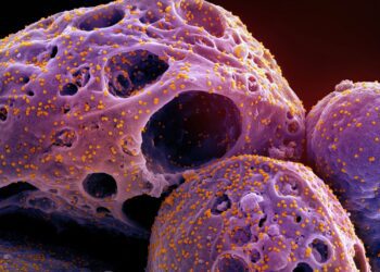 توسعه واکسنی جدید برای مقابله با انواع ویروس کرونا