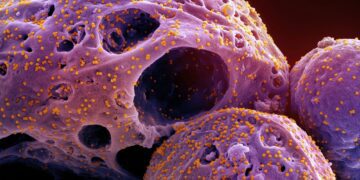 توسعه واکسنی جدید برای مقابله با انواع ویروس کرونا