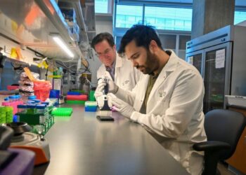 ابداع آزمایشی جدید برای تشخیص زودهنگام سرطان پانکراس