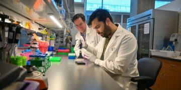 ابداع آزمایشی جدید برای تشخیص زودهنگام سرطان پانکراس