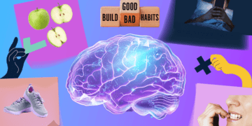 چگونگی شکل‌گیری عادت‌ها در مغز و نحوه تغییر آنها