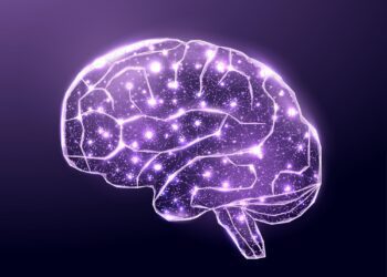 مغز می‌تواند آینده را پیش‌بینی کند