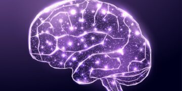 مغز می‌تواند آینده را پیش‌بینی کند