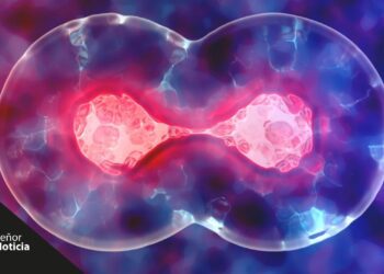 روشی جدید برای پیشگیری و درمان اسکیزوفرنی