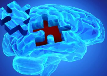 مصرف روزانه کافئین حجم ماده خاکستری مغز را کاهش می‌دهد