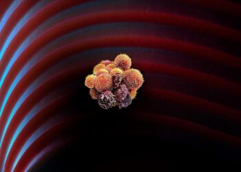 کشف دارویی جدید برای کاهش خطر متاستاز در سرطان پستان