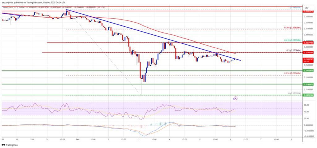 تحلیل قیمت دوج کوین (DOGE)